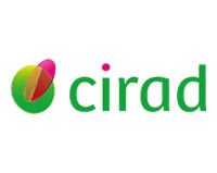 Cirad : Brand Short Description Type Here.